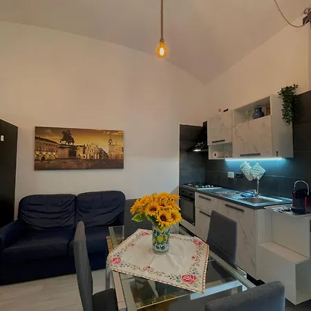 Apartment Musine House